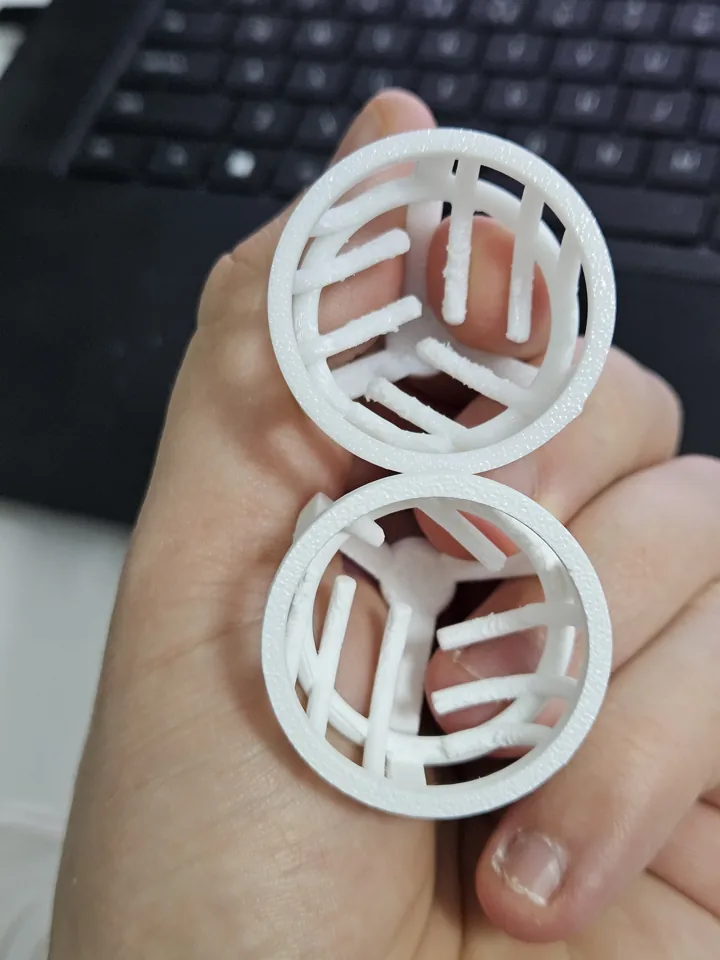 Two white printed heads held in a hand, showing their fine ribs and outer rings.